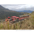 locomotiva elétrica para passear